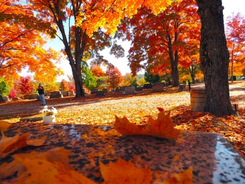A serene cemetery scene with vibrant autumn trees and fallen leaves, creating a peaceful, colorful atmosphere.