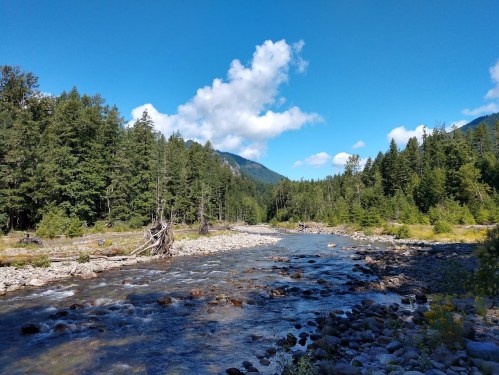 A serene river flows through a lush forested landscape under a bright blue sky with scattered clouds.
