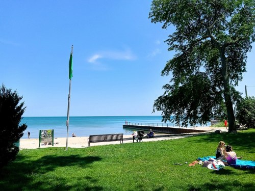 A sunny beach scene with green grass, a flag, and people relaxing by the water near a pier.
