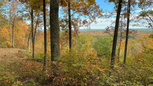 A scenic view of autumn foliage with colorful trees and a distant landscape under a clear blue sky.