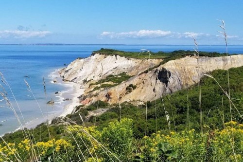 A scenic coastal view featuring cliffs, lush greenery, and a calm blue ocean under a clear sky.