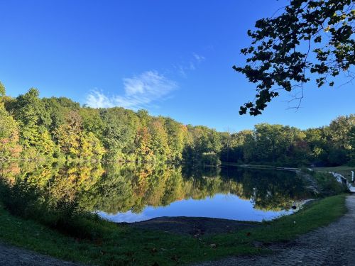 A serene lake surrounded by colorful autumn trees under a clear blue sky. Reflections shimmer on the water's surface.
