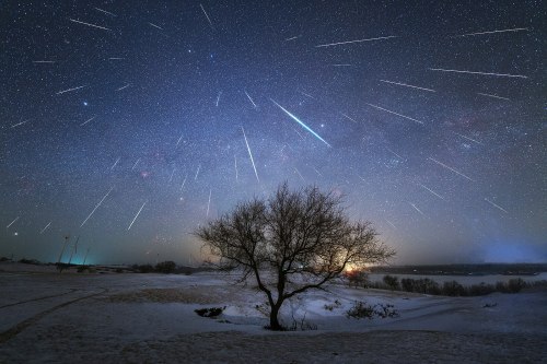 A starry night sky with shooting stars over a snowy landscape and a solitary tree silhouetted against the horizon.