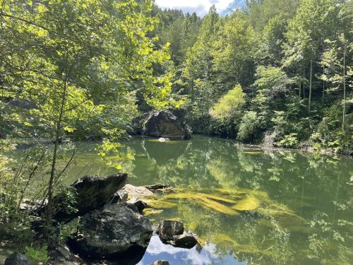 A serene lake surrounded by lush green trees, with reflections of the landscape on the calm water's surface.
