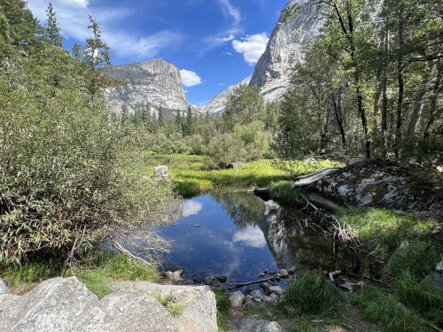 A serene landscape featuring a calm pond surrounded by lush greenery and mountains under a blue sky with clouds.