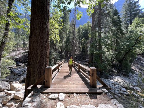 A person in a yellow vest stands on a wooden bridge surrounded by tall trees and rocky terrain in a forested area.