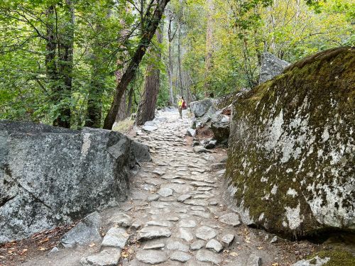A rocky path winds through a forest, flanked by large boulders and trees, with a person in the distance.