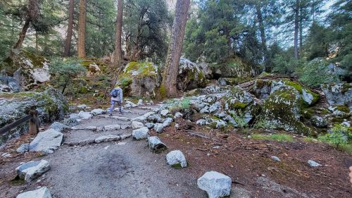 A person walks along a rocky path in a lush forest with tall trees and moss-covered boulders.