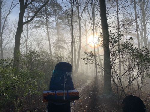 A hiker with a backpack walks through a misty forest, with the sun rising through the trees in the background.
