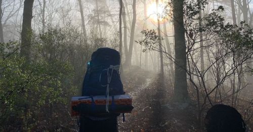 A hiker with a backpack stands in a misty forest, sunlight filtering through the trees.