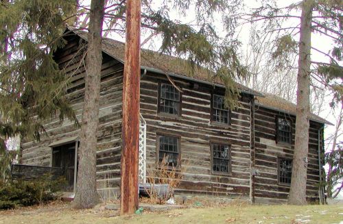 A rustic log cabin surrounded by tall trees, featuring multiple windows and a sloped roof.