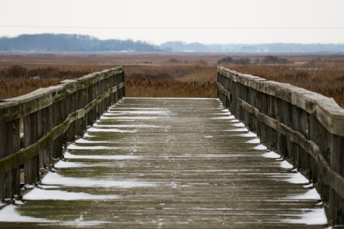 A wooden pier extends into a marshy landscape, with snow dusting the planks and a gray sky overhead.