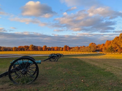 A row of cannons on a grassy field, surrounded by vibrant autumn trees under a cloudy sky.