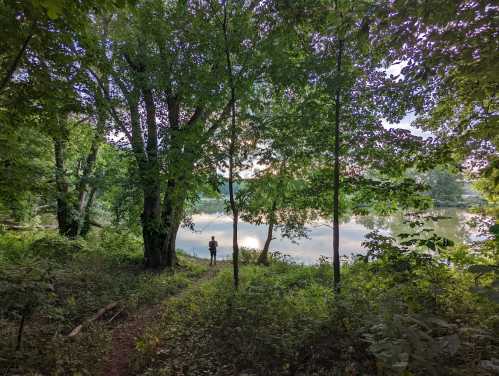 A person stands by a calm lake surrounded by lush green trees and foliage, reflecting the serene landscape.