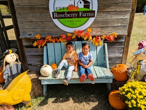 Two children sit on a rustic blue bench surrounded by pumpkins and autumn decorations at Roseberry Farms.
