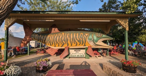 A large, colorful fish sculpture under a pavilion, surrounded by picnic tables and flowers in a park setting.