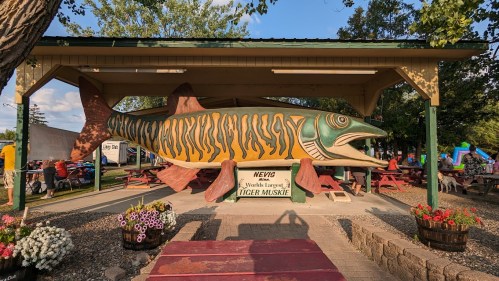 A large, colorful fish statue under a pavilion, surrounded by picnic tables and flowers in a park setting.