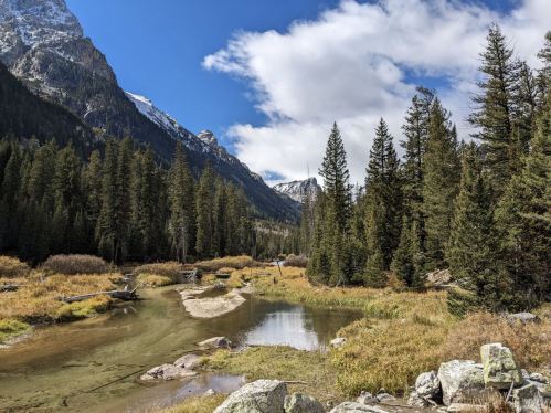 A serene mountain landscape with a clear stream, lush trees, and rocky terrain under a blue sky with fluffy clouds.