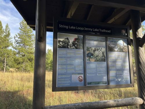 Information sign at the String Lake/Jenny Lake Trailhead, surrounded by grass and trees.