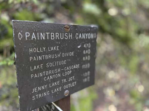 A weathered signpost in a forest, listing distances to various trails and lakes in Paintbrush Canyon.