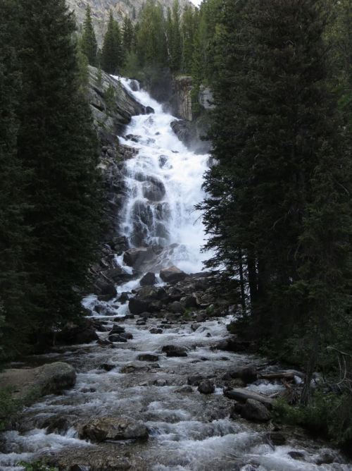 A cascading waterfall flows down rocky terrain, surrounded by tall evergreen trees and a winding stream below.