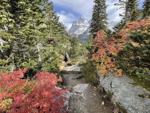 A hiker walks along a rocky trail surrounded by vibrant autumn foliage and towering mountains in the background.