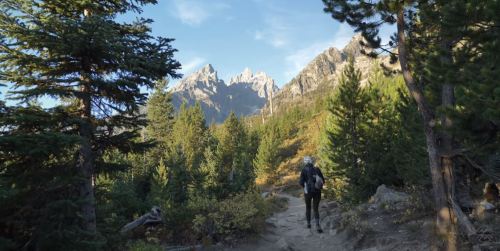A hiker walks along a trail surrounded by trees and mountains under a clear blue sky.