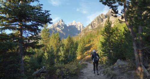 A hiker walks along a trail surrounded by tall trees and mountains under a clear blue sky.