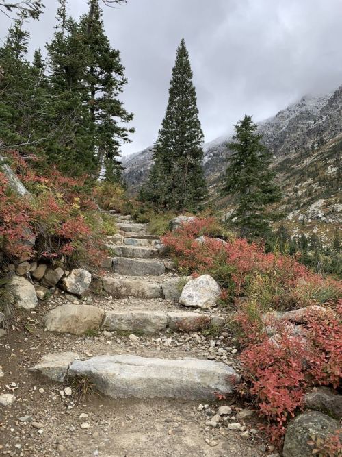 A stone pathway winds through a forest with green trees and autumn foliage, leading towards a mountainous backdrop.