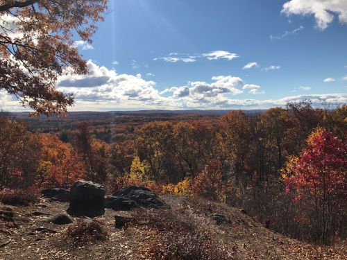 A scenic view of colorful autumn trees under a bright blue sky with fluffy clouds.