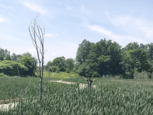 A person stands with arms outstretched in a lush green field, surrounded by trees and a clear blue sky.