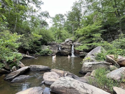 A serene natural scene featuring a small waterfall and people swimming in a rocky pool surrounded by lush greenery.