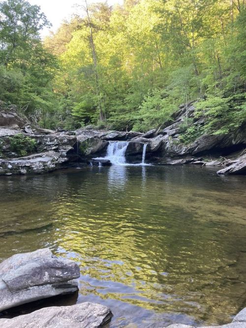 A serene waterfall cascades into a clear pool, surrounded by lush green trees and rocky terrain.