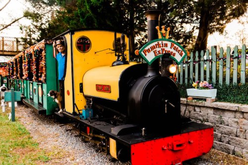 A colorful train with a smiling conductor and a dog, decorated for fall, parked near a garden with festive lights.