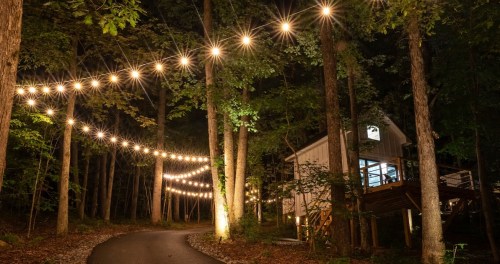 A winding path through trees illuminated by string lights, leading to a cozy cabin at night.