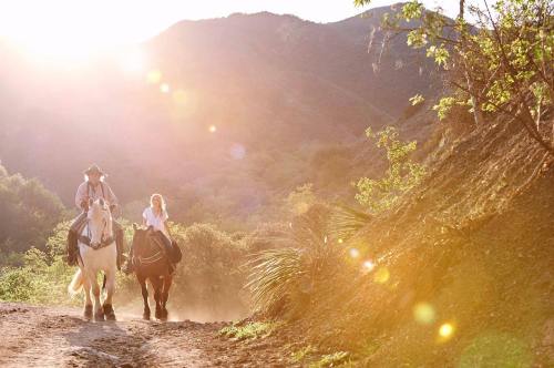 Two riders on horseback travel along a sunlit trail, surrounded by lush greenery and mountains in the background.