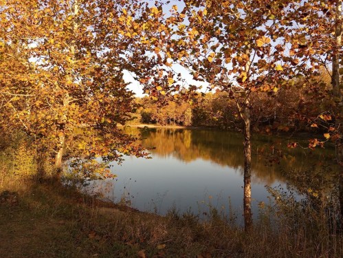 A serene lake surrounded by trees with autumn leaves, reflecting the colorful foliage in calm water.