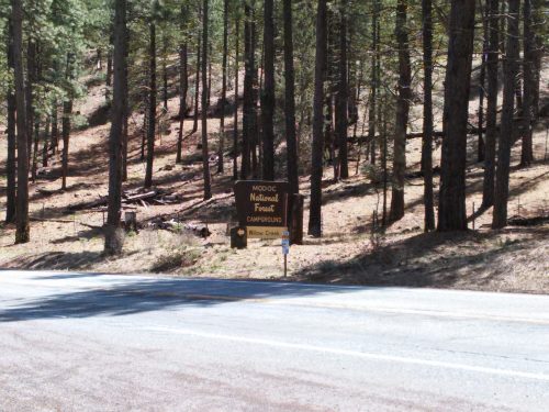 Sign for Modoc National Forest Campground beside a road, surrounded by tall trees and a forested area.