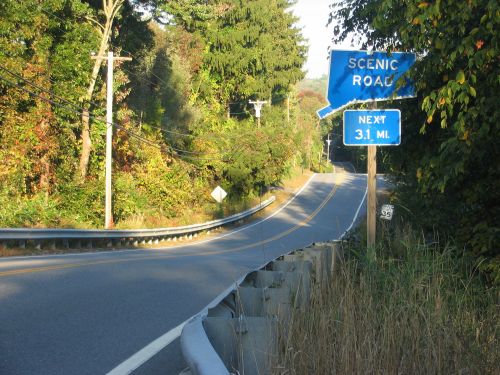 A winding road with a blue sign indicating "Scenic Road" ahead, surrounded by trees and greenery.