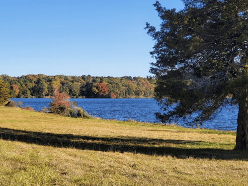A serene lake surrounded by trees with autumn foliage under a clear blue sky.