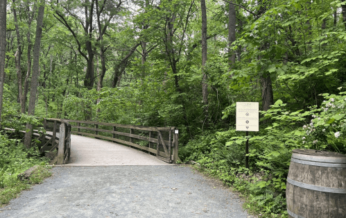 A wooden bridge leads into a lush green forest, with a signpost and a barrel nearby.