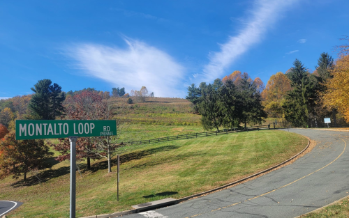 A green street sign for Montalto Loop on a winding road surrounded by trees and a clear blue sky.