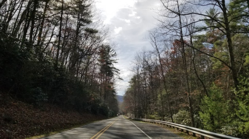 A winding road through a forest with bare trees and a cloudy sky in the background.