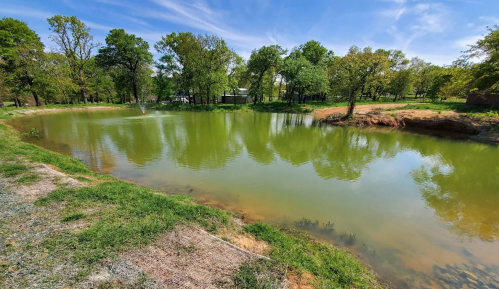 A serene pond surrounded by lush greenery and trees under a clear blue sky.