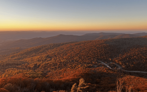 A panoramic view of rolling hills covered in autumn foliage at sunset, with a winding road visible below.