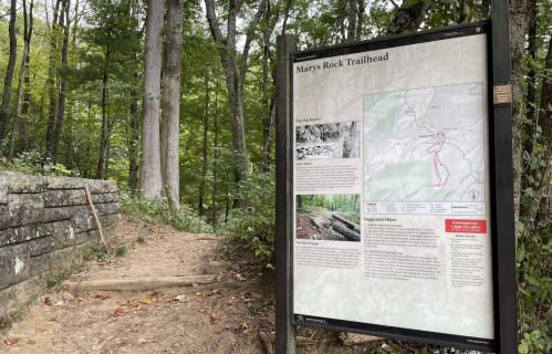 Sign at Mary's Rock Trailhead with a map and information, surrounded by lush green trees and a dirt path.