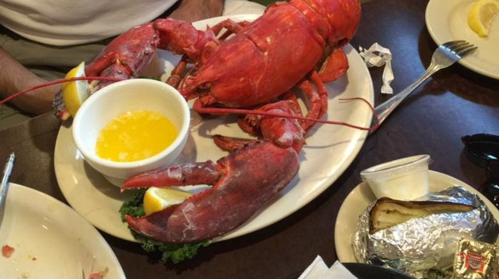 A large cooked lobster on a plate with melted butter and lemon, accompanied by a baked potato.