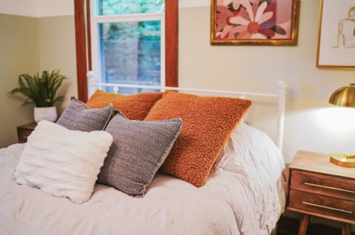 Cozy bedroom with a white bed, decorative pillows, a bedside lamp, and a plant in the corner.