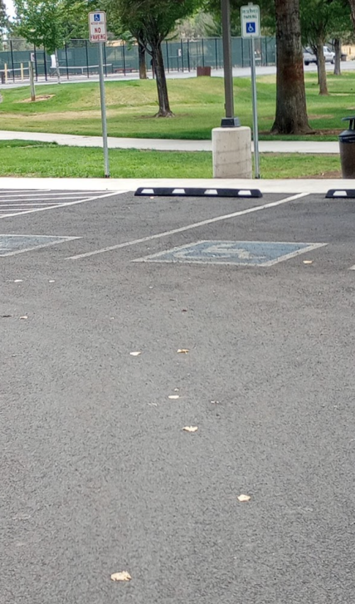 A parking lot with empty spaces, a "No Parking" sign, and trees in the background.