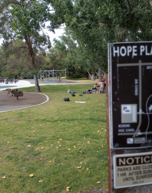 A park scene with a playground in the background, grassy area, and a notice board in the foreground.